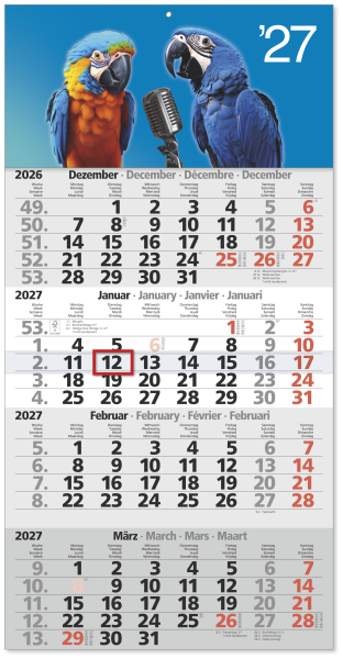4-Monatskalender “Cool-Cat”