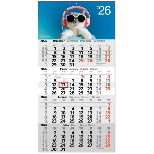 4-Monatskalender “Cool-Cat”